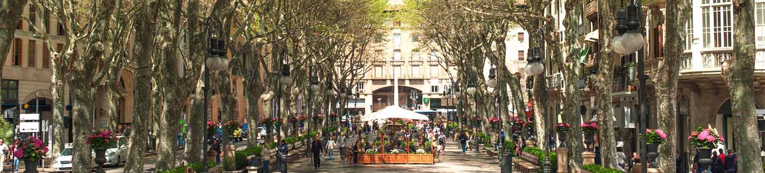  Casas Palma de Mallorca y Pisos Palma de Mallorca